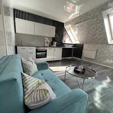 Apartman Cozy With Kitchen Near The *